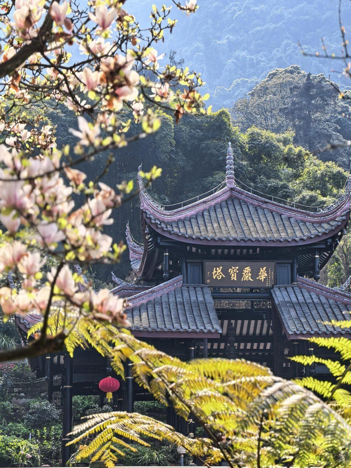 行程照片 2