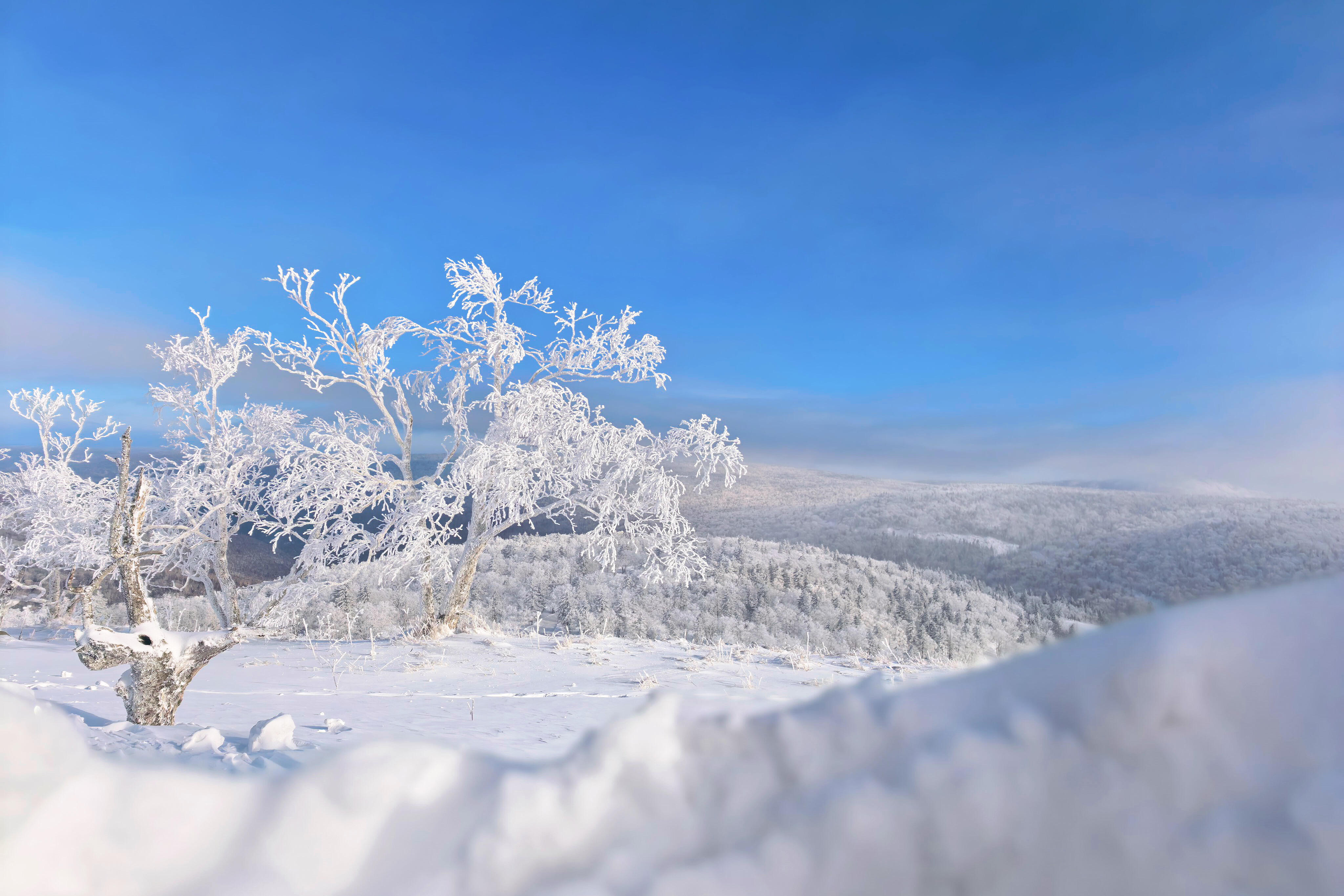 亚雪公路 → 中国雪乡