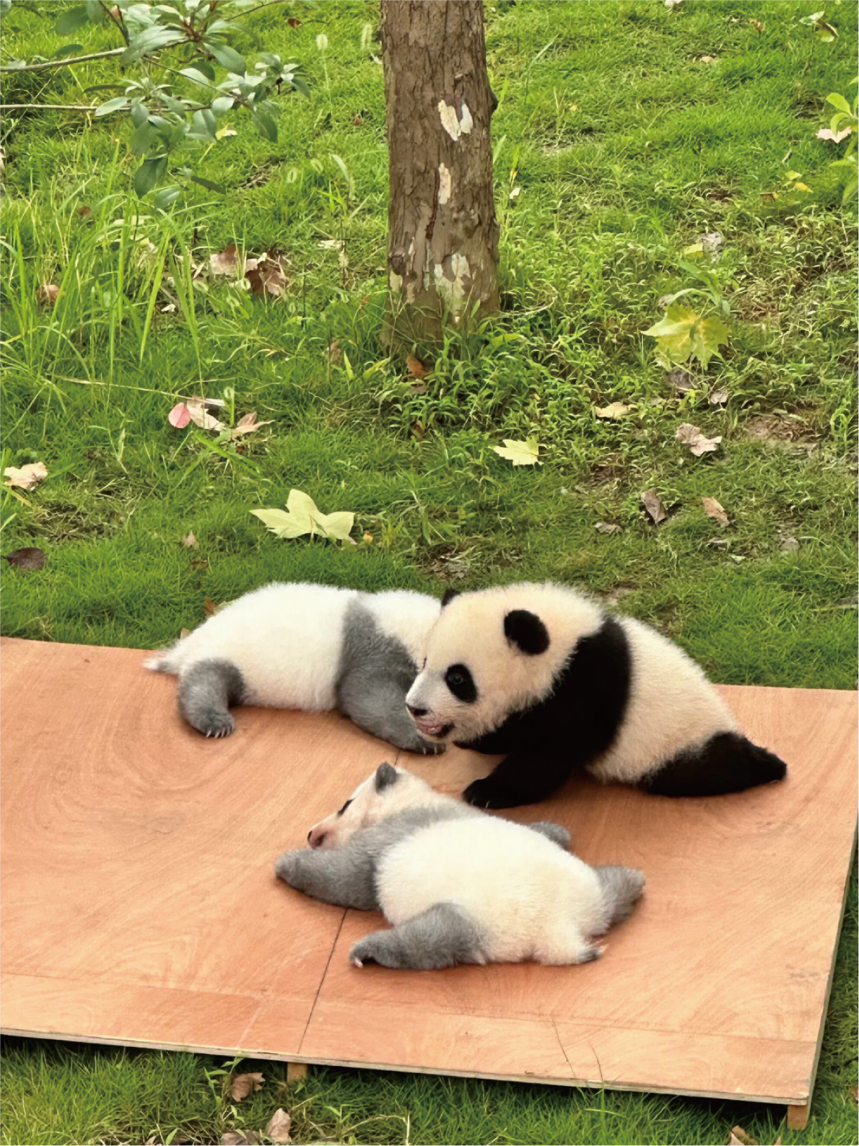 行程照片 5